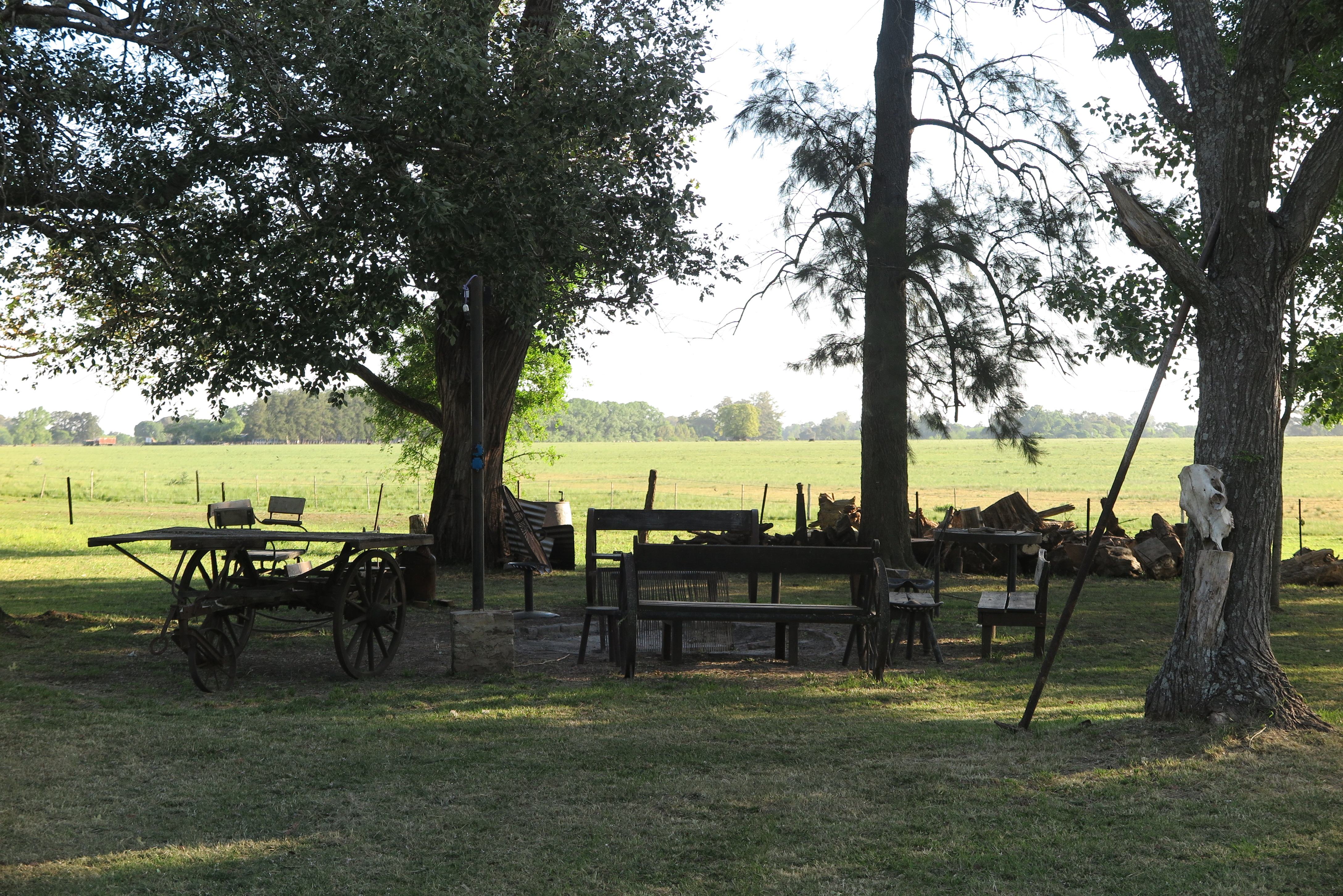 El sector de descanso bajo los árboles, con el campo abierto de fondo.